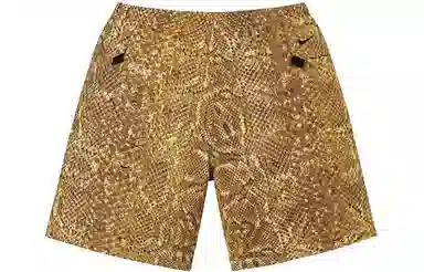 Supreme x Nike ACG Nylon Trail Short