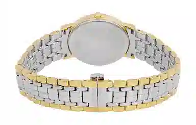 Longines L4.819.2.32.7