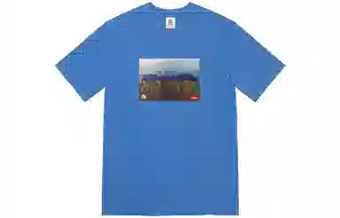 Supreme x Nike ACG Grid Tee