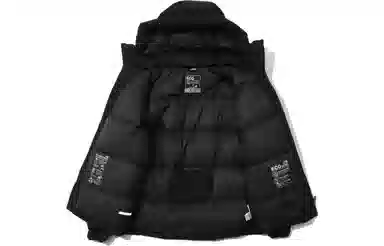 THE NORTH FACE FW22 Logo