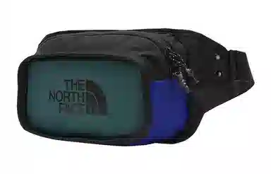 THE NORTH FACE Logo