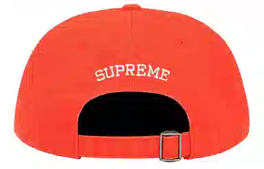Supreme 6-Panel