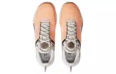 Nike Zoom Court NXT HC