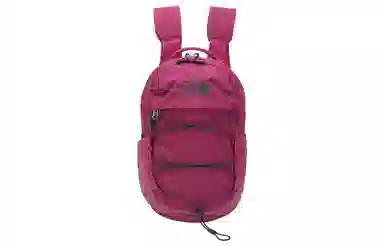 The North Face Mini Backpack Purple