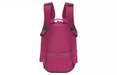 The North Face Mini Backpack Purple