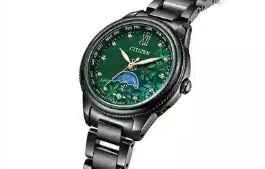 CITIZEN 29mm EE1007-59W