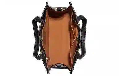 COACH x Disney Dempsey Tote