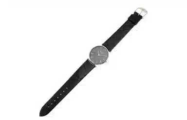 LONGINES 30 29mm L4.512.4.51.2