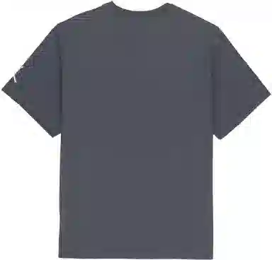 Air Jordan Sport Dna T