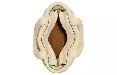 COACH Pillow 37 Ivory