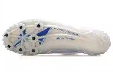 CP 7