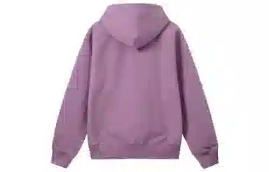 Stussy FW22 Rat Zip Hoodie