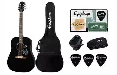 Epiphone Starling() 41D