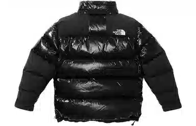 Supreme FW22 Week 7 x The North Face 700-Fill Down Parka Logo