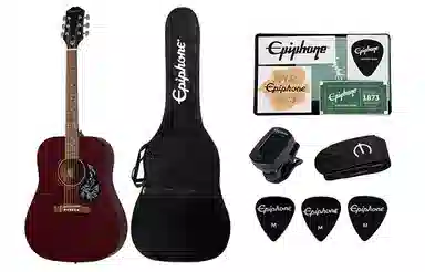 Epiphone Starling() 41D