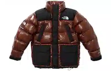 Supreme FW22 Week 7 x The North Face 700-Fill Down Parka Logo