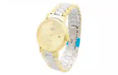 LONGINES 30 30mm L4.322.2.32.7