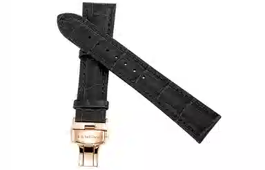 Sea-Gull HPNP22111GHD