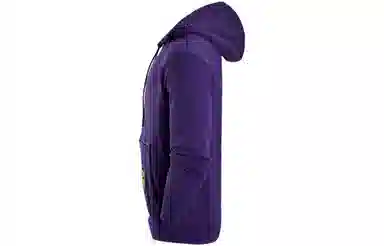 Jordan FW22 Hoodie Purple