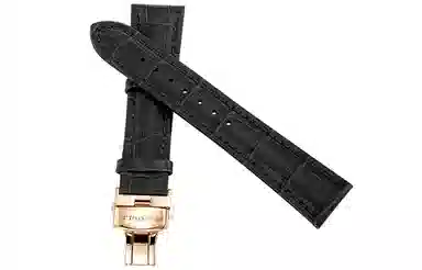 Sea-Gull HPNP22111GHD