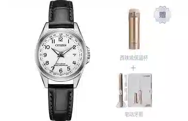 CITIZEN 100 43mm EC1180-14A