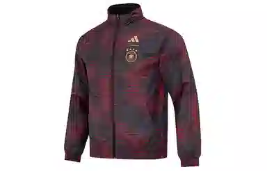 adidas Dfb Wc Anthem Jacket