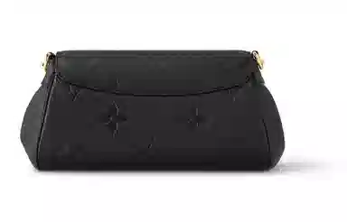 Louis Vuitton Favorite Black