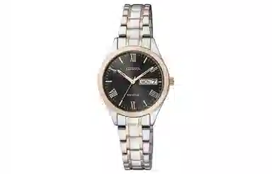 CITIZEN WICCA100 EW3194-52E