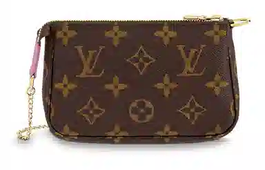Louis Vuitton Pochette Accessories
