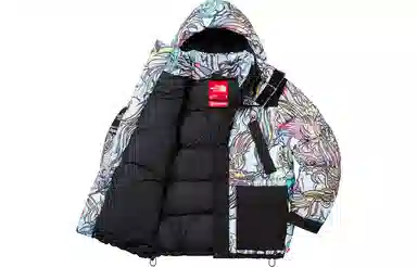 Supreme FW22 Week 7 x The North Face 700-Fill Down Parka Logo