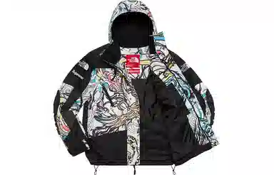 Supreme x The North Face Steep Tech Apogee Jacket