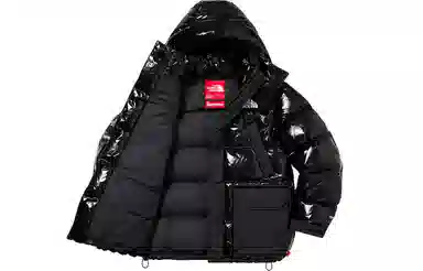 Supreme FW22 Week 7 x The North Face 700-Fill Down Parka Logo