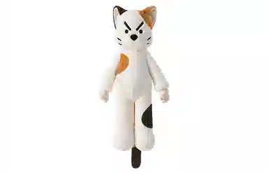 50cm