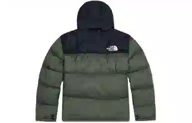 THE NORTH FACE FW22 1996 Retro Nuptse Jacekt 700