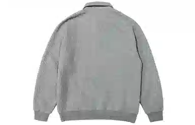 STNW LogoPolo