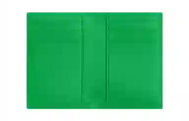 Bottega Veneta Intrecciato Parakeet Green