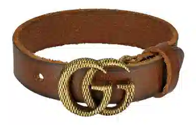 GUCCI Logo -