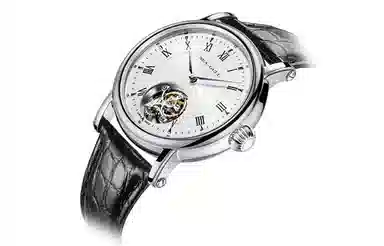 Sea-Gull 818.11.6018