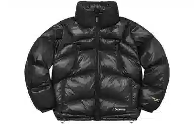 Supreme Featherweight Down Puffer Jacket