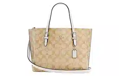 COACH Mollie 25 Tote