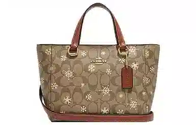 COACH Alice 21