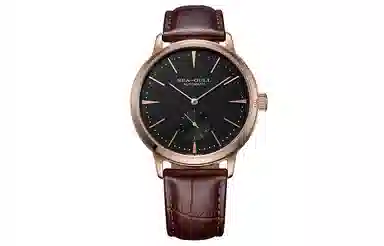 Sea-Gull 519.22.6075