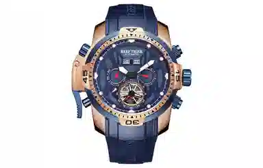 REEF TIGER RGA3532-JMLL