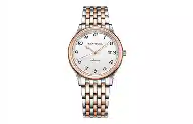 Sea-Gull 217.13.6152