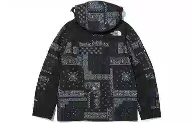 THE NORTH FACE 1990 GORE-TEX Logo