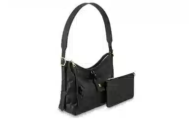 LOUIS VUITTON Carryall PM