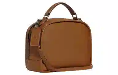 COACH x Peanuts Snoopy Lunch Pail 22 Brown