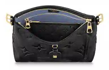 LOUIS VUITTON Carryall PM