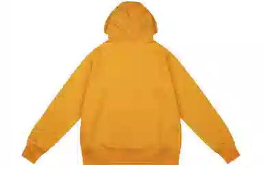 Dickies Logo Hoodie Orange