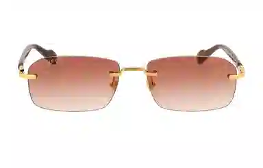 Gucci Rectangular Sunglasses Brown